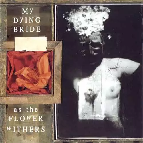 My Dying Bride As the Flower Withers Lyrics Album