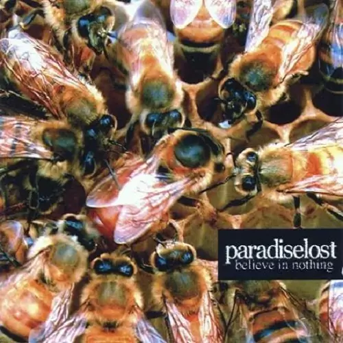 Paradise Lost Believe in Nothing Lyrics Album