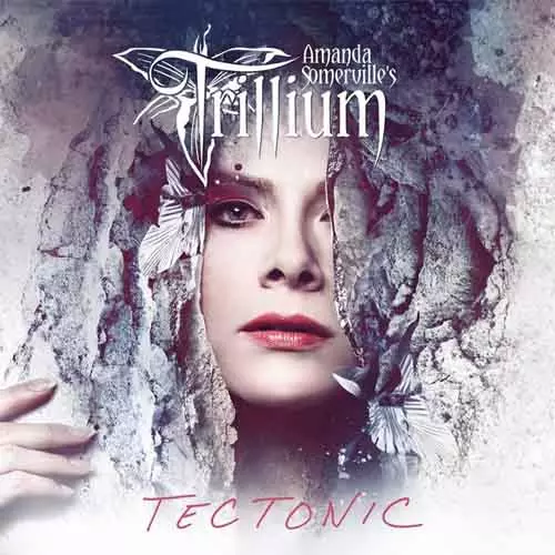Trillium Tectonic Lyrics Album